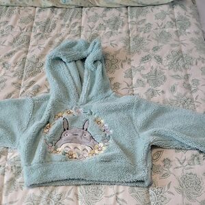 Her Universe Plush Hooded Sweatshirt in Mint Green with Totoro Applique